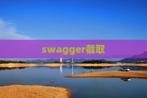 swagger截取